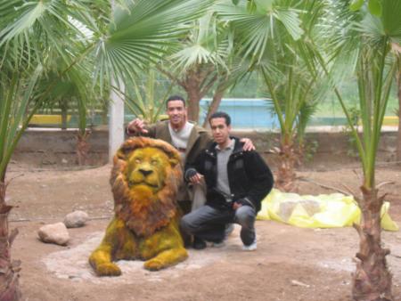 SAMORAY + M3IL9A